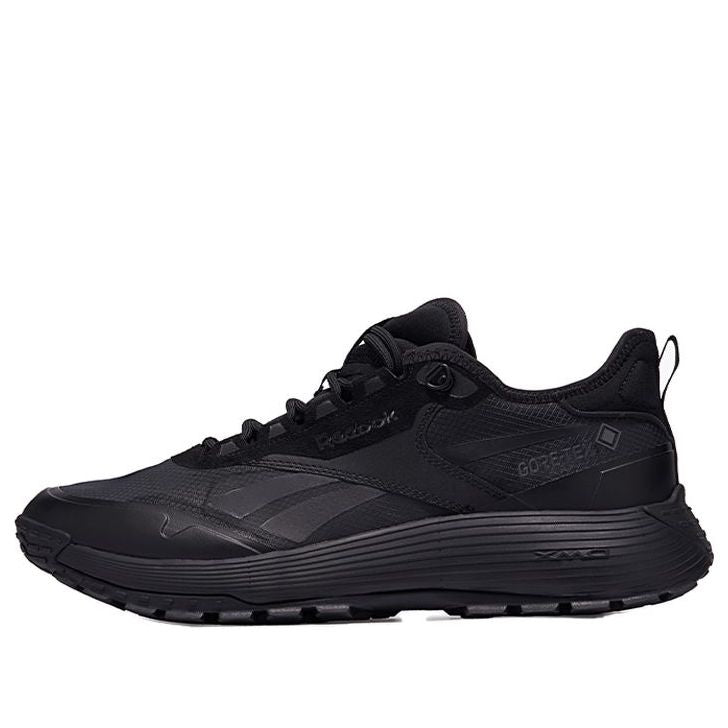 Reebok DMX Trail Gore-Tex 'Black' 100074961