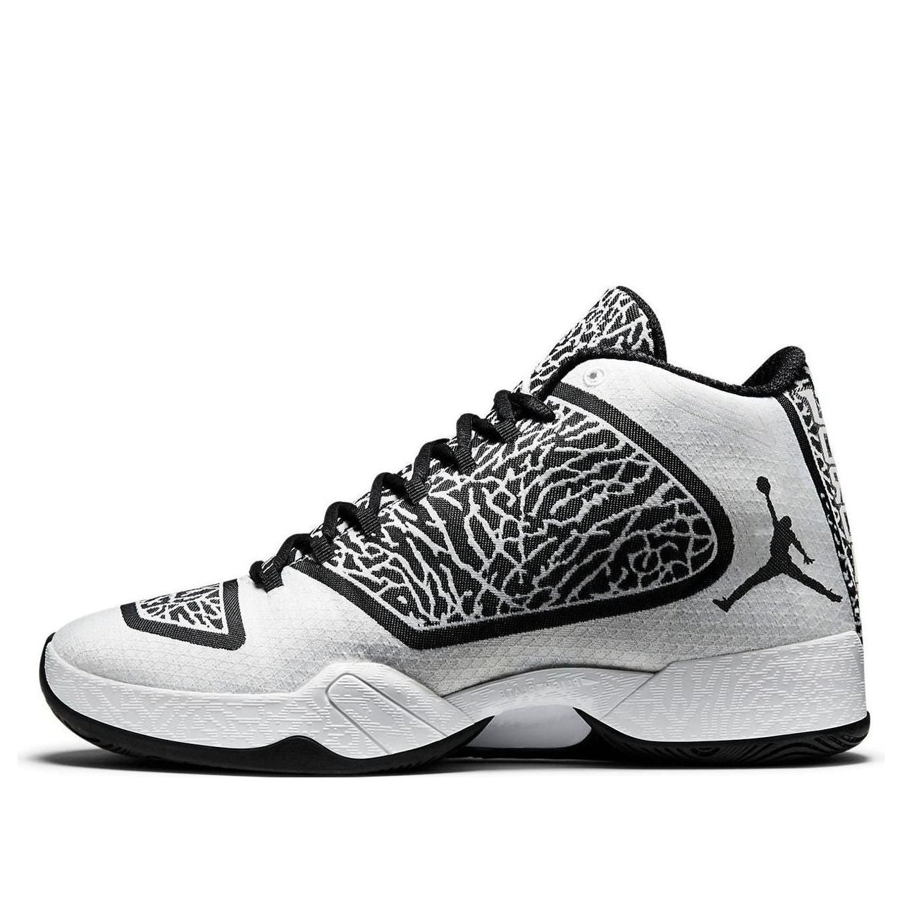 Air Jordan 29 'Cement' 695515-070