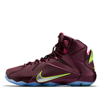Nike LeBron 12 'Double Helix' 684593-607