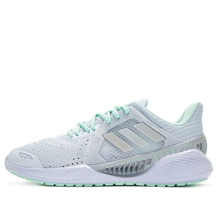 (WMNS) adidas Climacool Vent 'Grey'  FZ2405