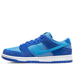 Nike SB Dunk Low Pro 'Fruity Pack - Blue Raspberry' DM0807-400