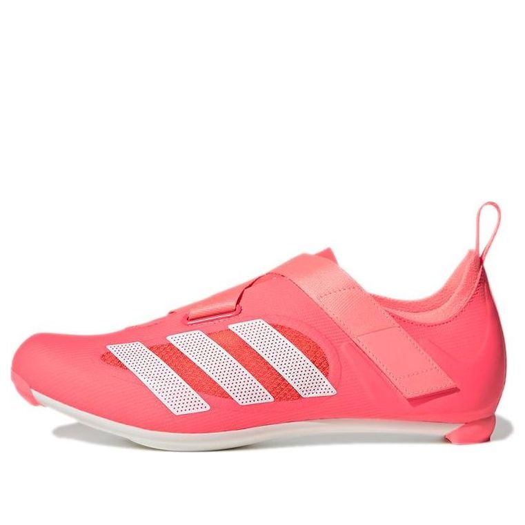 adidas Indoor Cycling 'Turbo' GZ6343